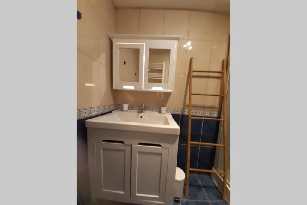 La Belle Ortine Apartment Esbly Ngoại thất bức ảnh